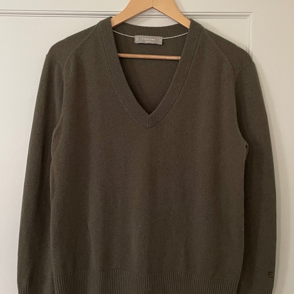 Everlane Re-Cash V-Neck Sweater